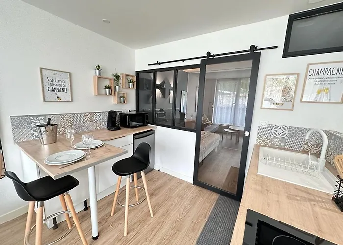 Moisson Pepite Au Centre Avec Parking Apartment Reims